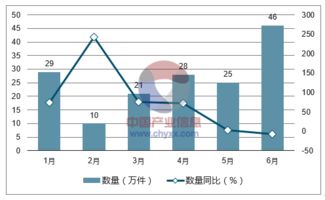 2018-2024年中國裘皮服裝行業全景調研及產業競爭格局報告